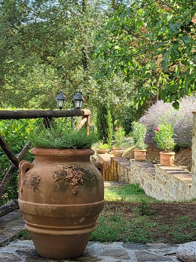 Luxury 1-Bedroom House With The Pool In Tuscany. Anghiari Eksteriør billede